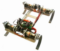 Four-legged robot